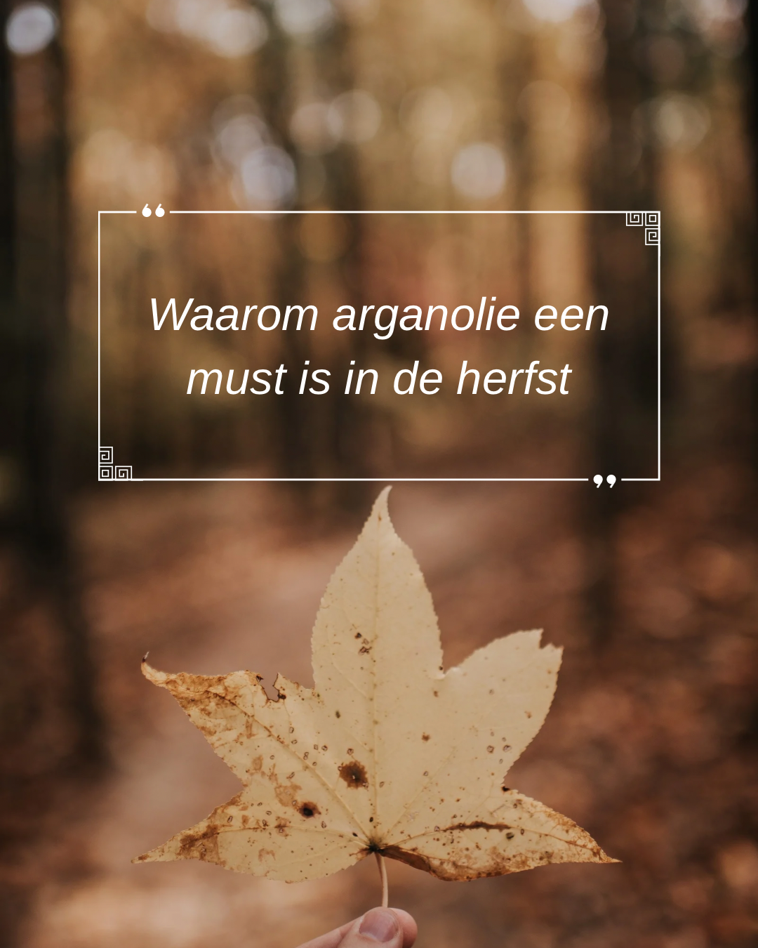 Arganolie voor huid en haar verzorging in de herfst - PurePure