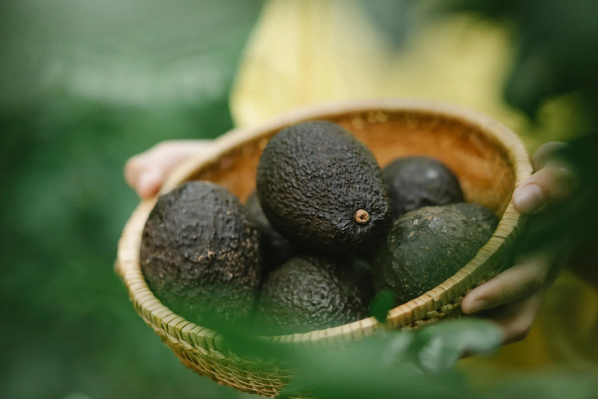 Vitamine E voor haar en huid verzorging - PurePure
